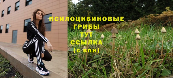 амф Рославль
