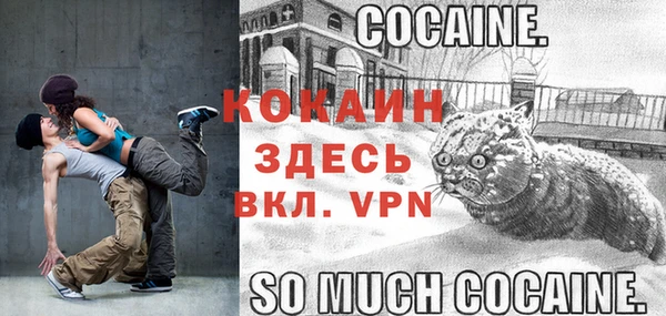 сатива Россошь