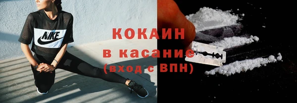 сатива Россошь