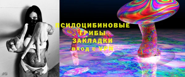 СК Сафоново