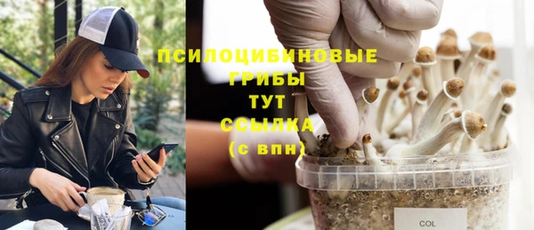 амф Рославль