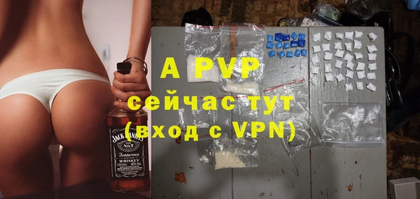 СК Сафоново