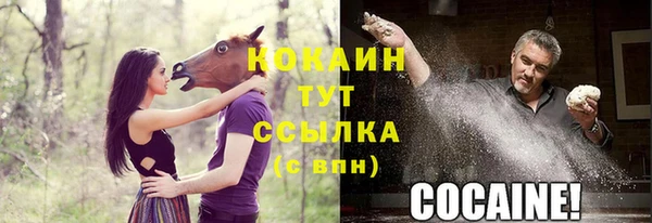 амф Рославль